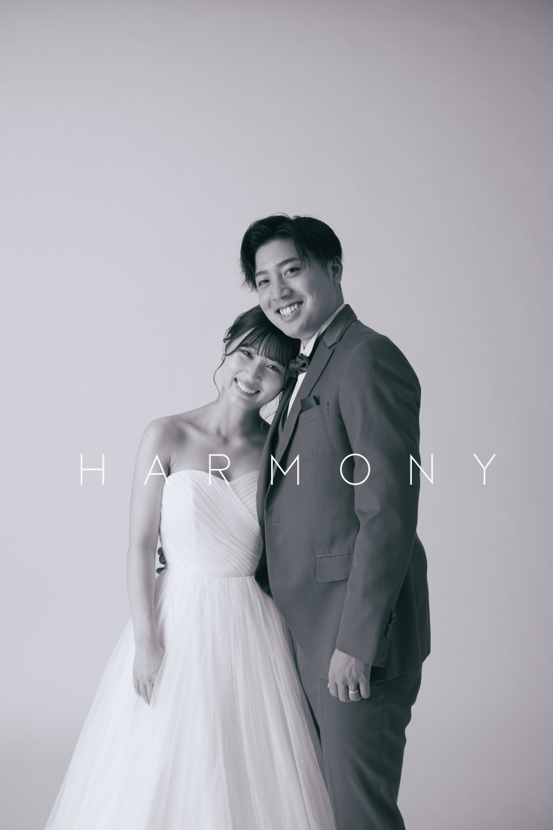 スタジオと居留地