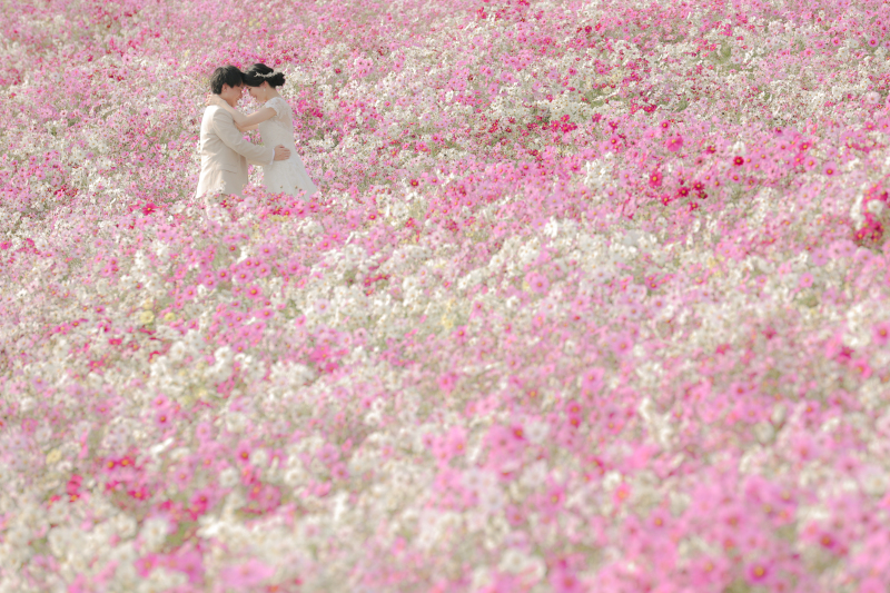  色鮮やかなお花畑とのショット！