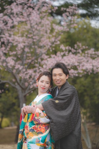 河津桜ロケーション