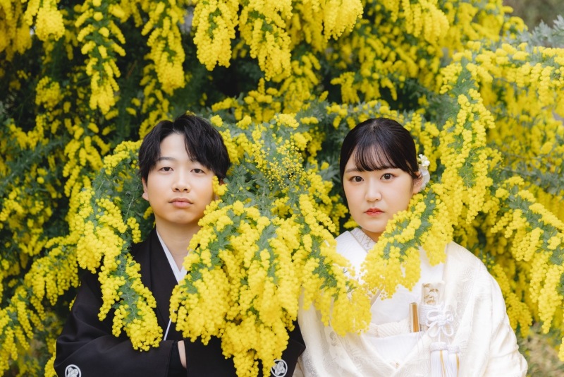 ミモザに包まれて 