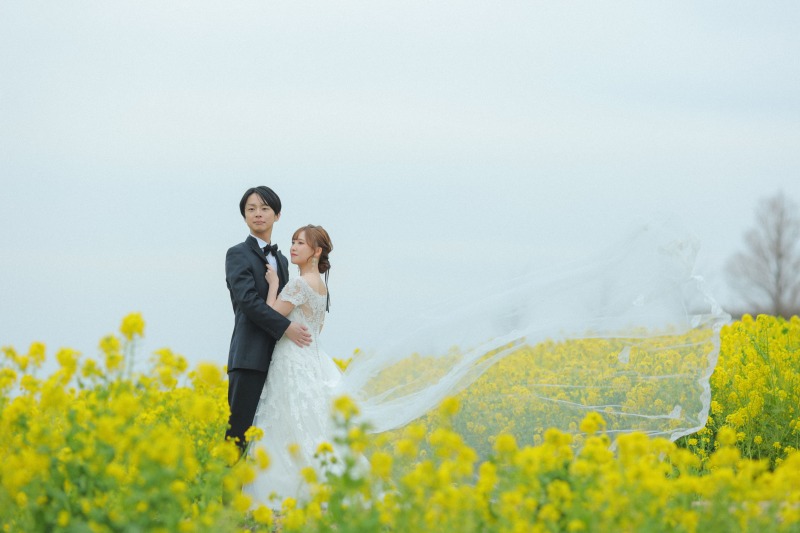 菜の花