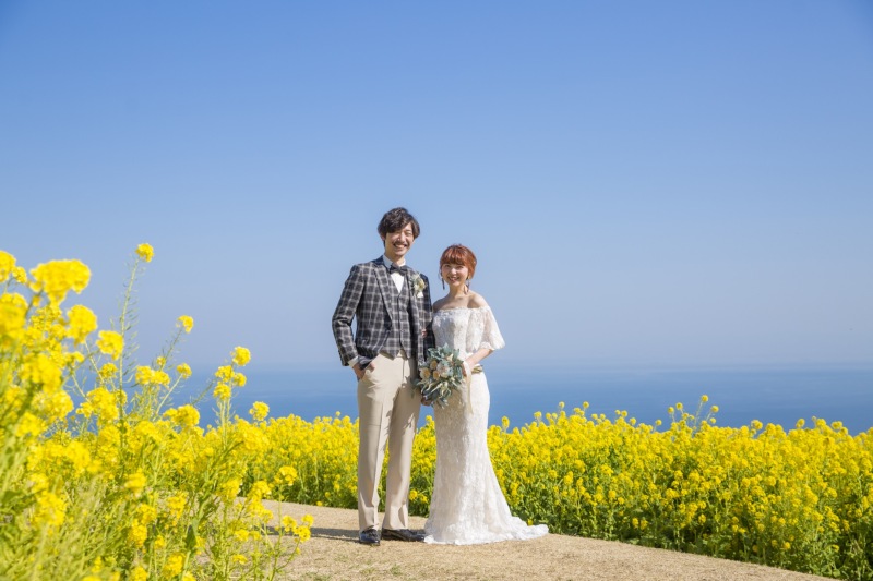 いっぱいの菜の花と青い空