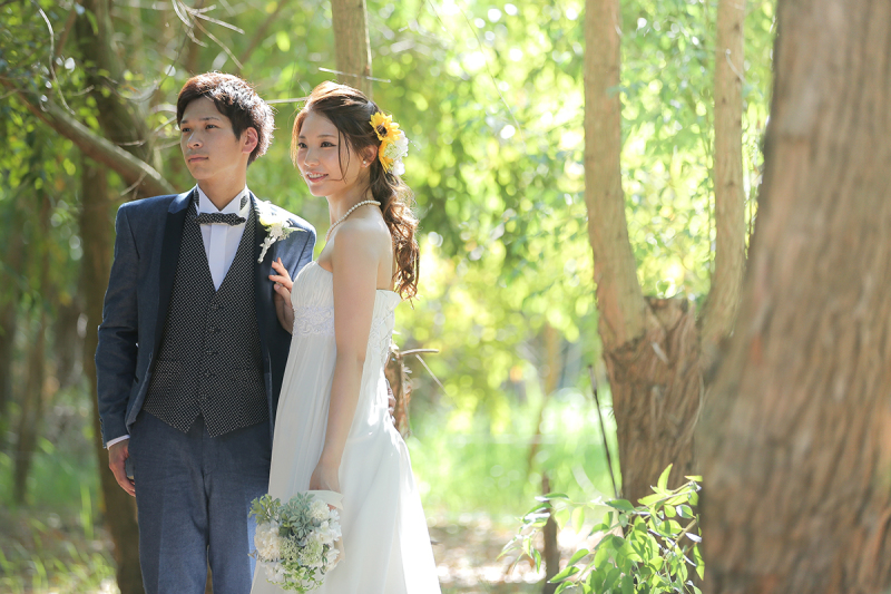 緑の背景・・・森