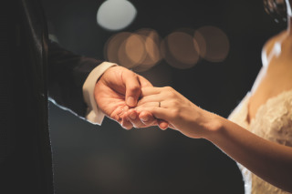 屋内庭園＋夜景居留地