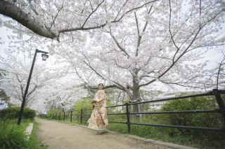 新ロケ地　桜ロケーション