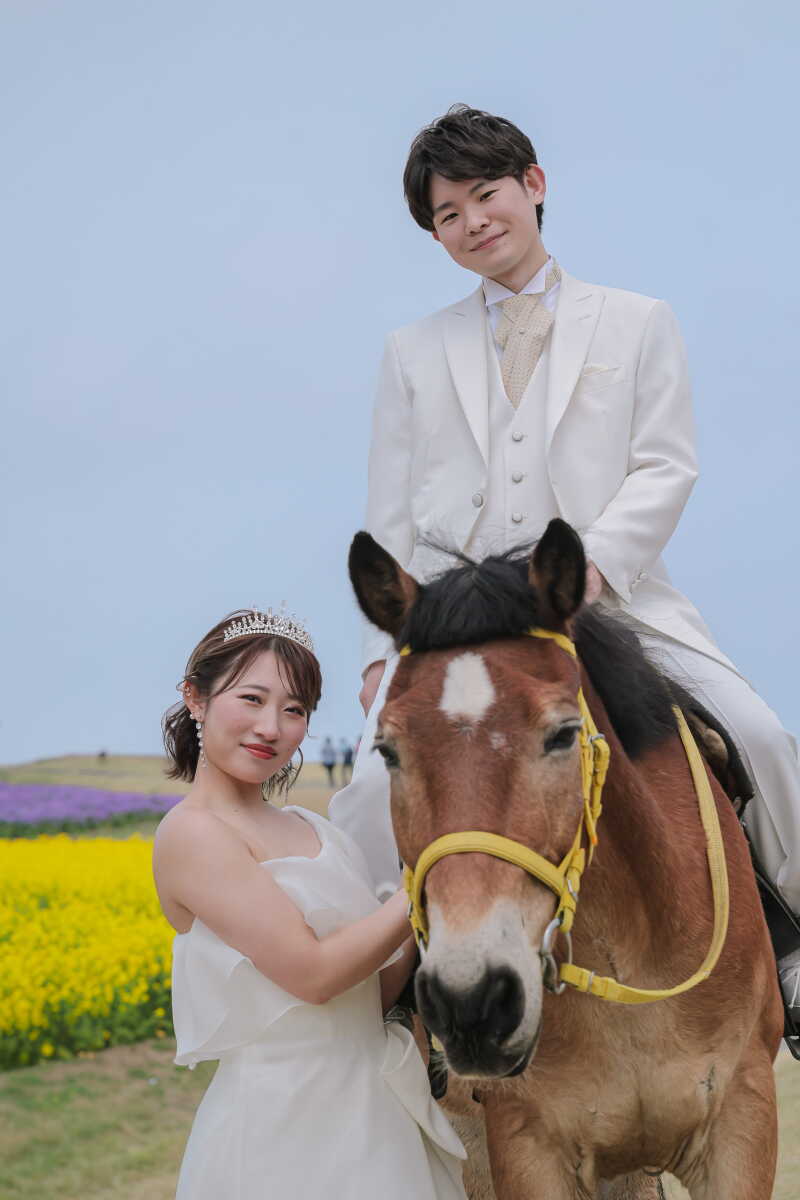 花畑と馬撮影