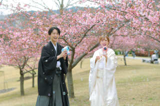 河津桜ロケーション