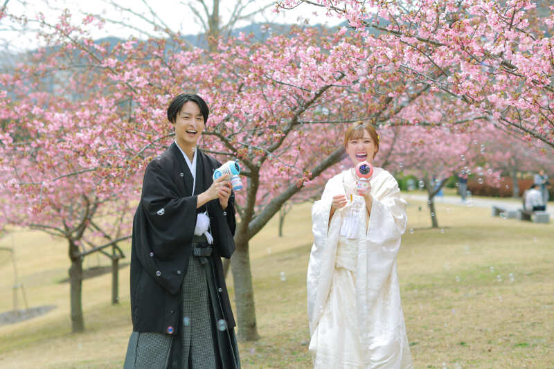 河津桜ロケーション