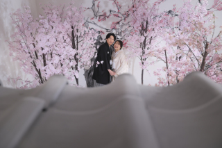 屋内庭園スタジオ