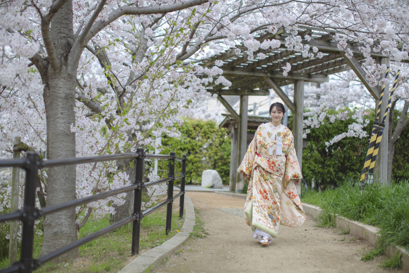 新しい桜のロケ地に行ってきました