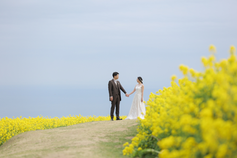 春の花に囲まれて