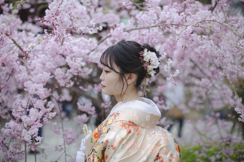 桜の種類も多く大満足