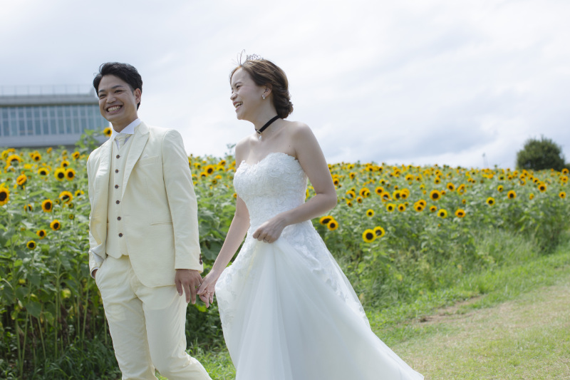 たくさんのひまわりを背景に