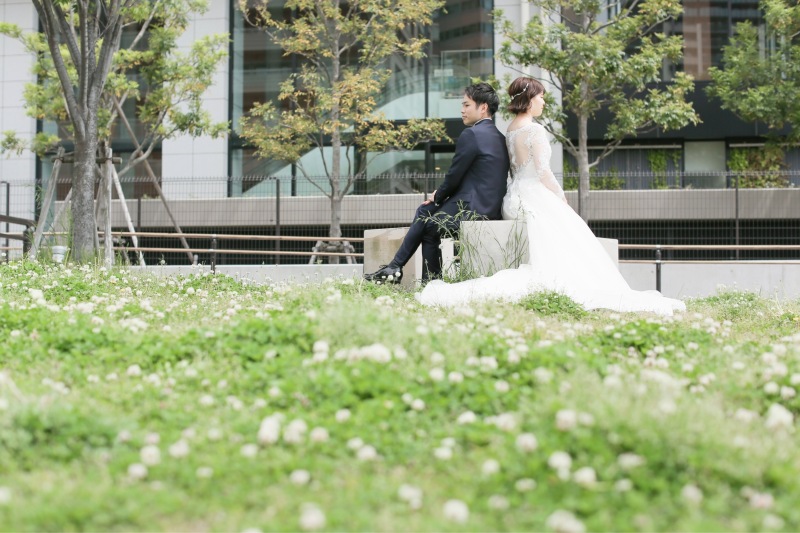 シロツメクサと。