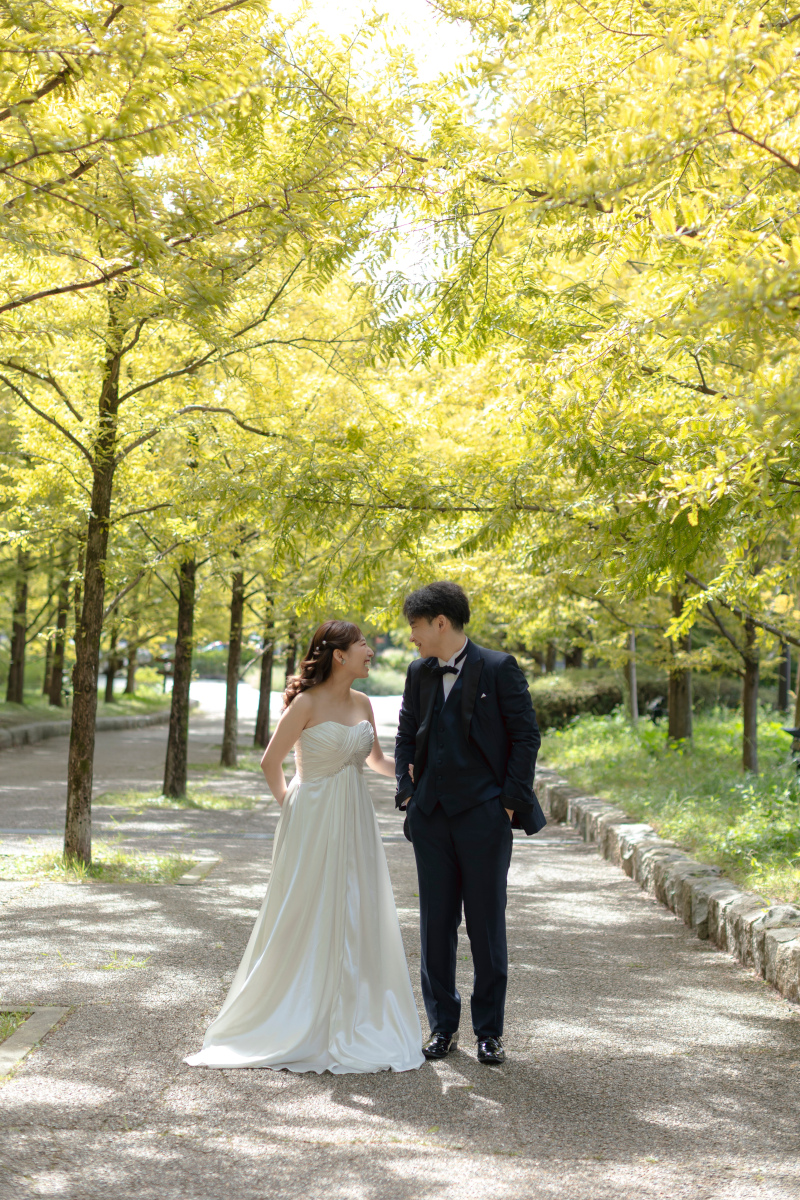 柔らかい光が可愛い