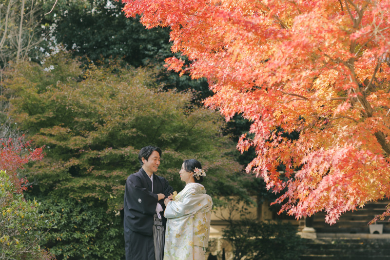 秋の太山寺 紅葉が見頃