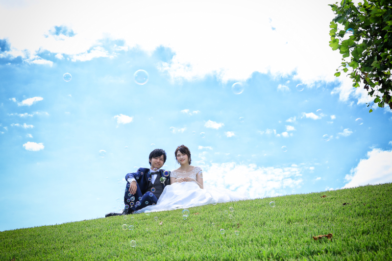 青と緑と花畑