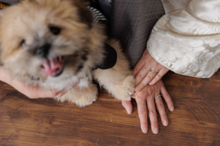 STUDIO TVB 神戸ハーバーランド店（スタジオTVB）