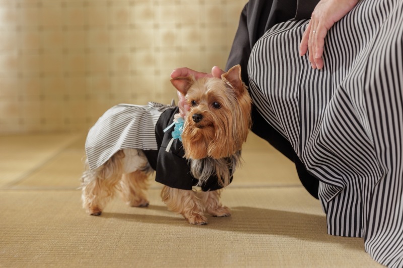 STUDIO TVB 神戸ハーバーランド店（スタジオTVB）_ペットと一緒に撮影できる