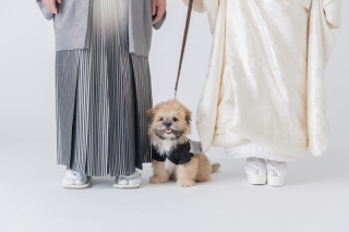 STUDIO TVB 神戸ハーバーランド店（スタジオTVB）