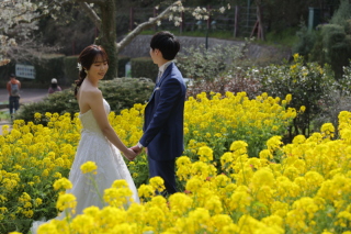 STUDIO TVB 神戸ハーバーランド店（スタジオTVB）_洋装ロケ_森林植物園・ハーブ園
