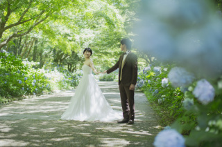 STUDIO TVB 神戸ハーバーランド店（スタジオTVB）_洋装ロケ_森林植物園・ハーブ園