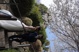 STUDIO TVB 神戸ハーバーランド店（スタジオTVB）_洋装ロケ_森林植物園・ハーブ園