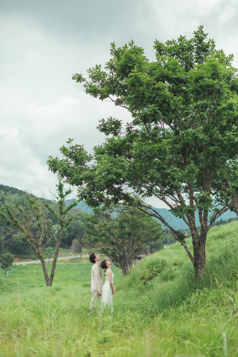 【砥峰高原ロケーションプラン】ススキの草原が広がる高原ロケーション◇300カット以上全データ付き