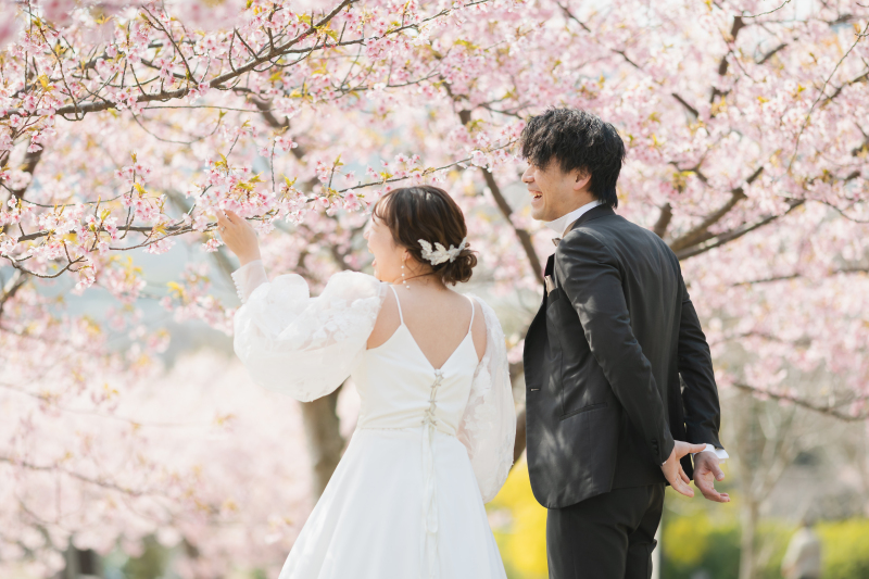 残りわずか！淡路島_河津桜ロケーション_2月末〜3月中旬_200カット