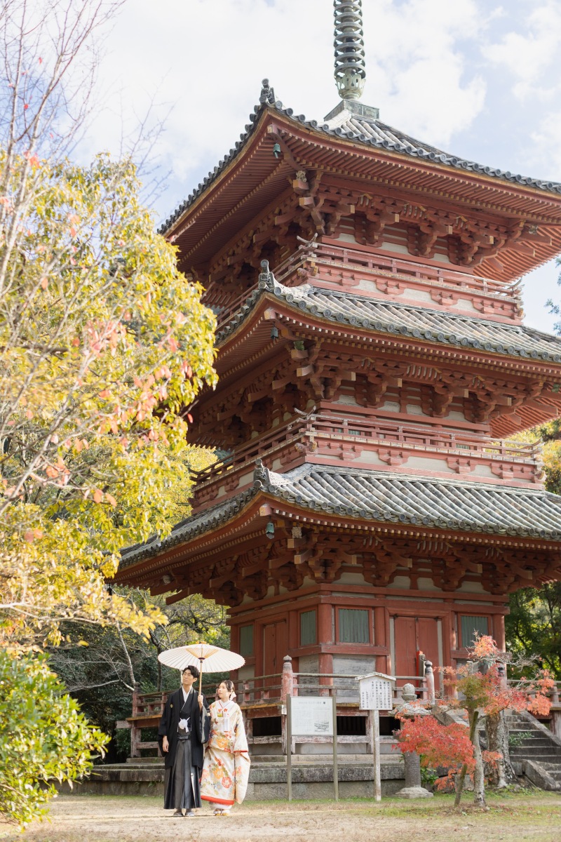 【太山寺ロケーション】趣のある景観の国宝建造物_◇200カット以上全データ付き