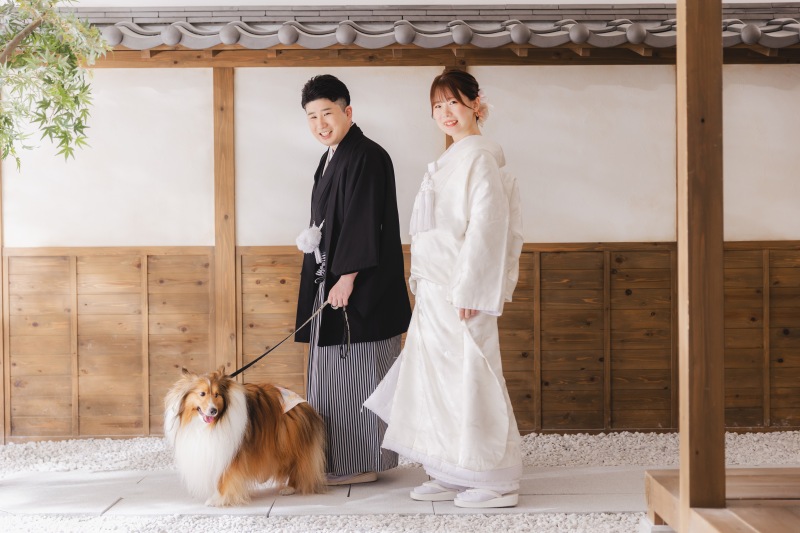 【神戸店限定!スタジオでペットとの撮影プラン!!!】撮影&150カット以上全データ&台紙付写真
