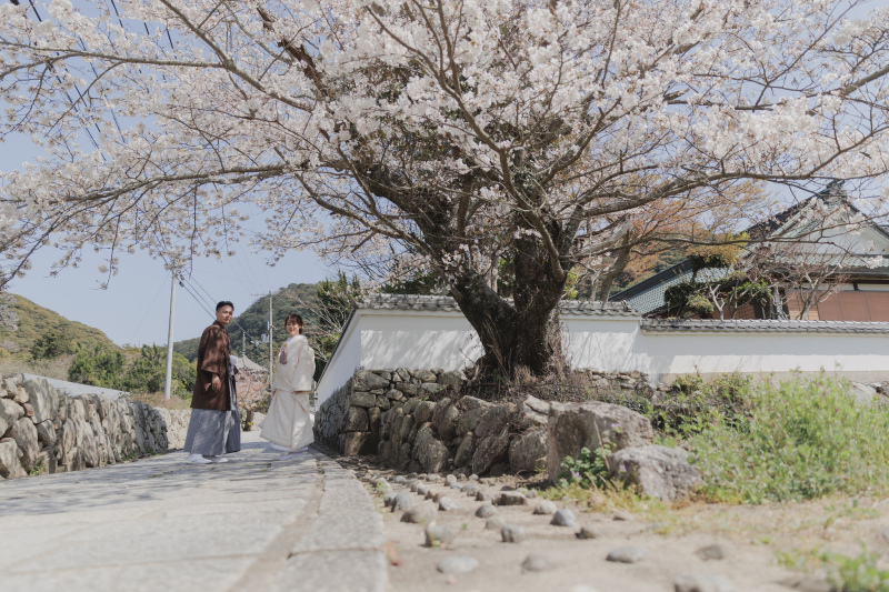1月迄申し込み限定!春ロケシーズンアップ料金OFF【太山寺ロケーション】趣のある景観の国宝建造物◇200カット以上全データ付き