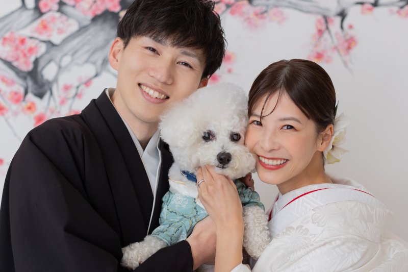 【和装のスタジオでわんちゃん撮影】撮影&150カット以上全データ&台紙付写真