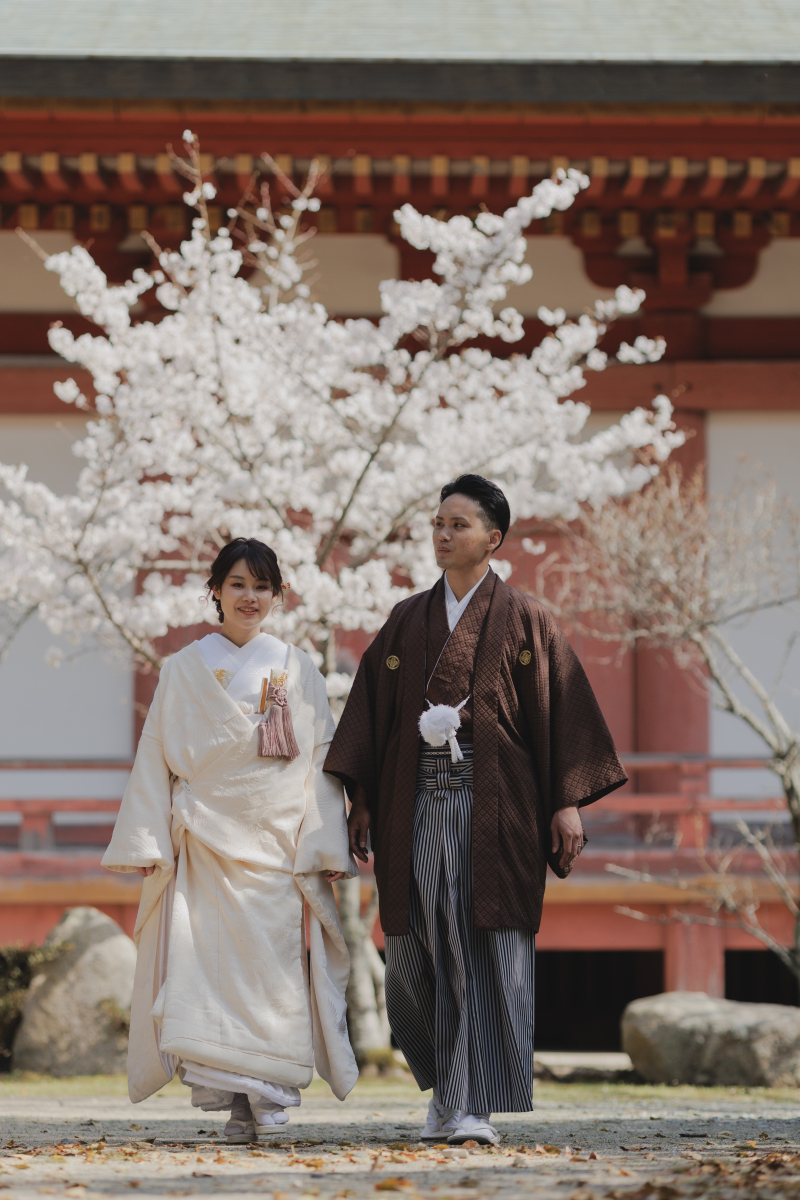 1月迄申し込み限定!春ロケシーズンアップ料金OFF【太山寺ロケーション】趣のある景観の国宝建造物◇200カット以上全データ付き