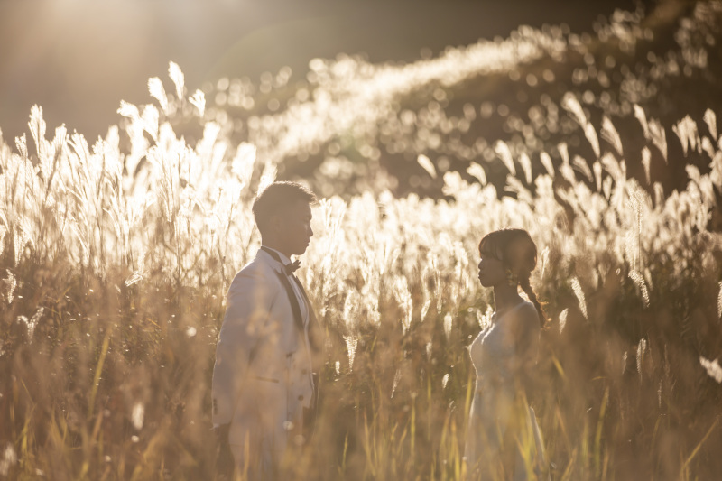 【砥峰高原ロケーションプラン】ススキの草原が広がる高原ロケーション◇300カット以上全データ付き