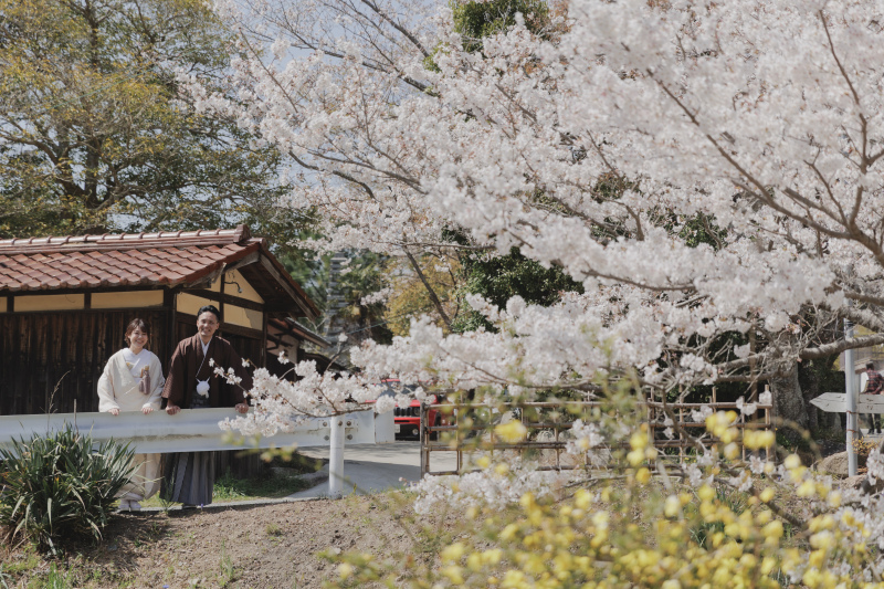 1月迄申し込み限定!春ロケシーズンアップ料金OFF【太山寺ロケーション】趣のある景観の国宝建造物◇200カット以上全データ付き
