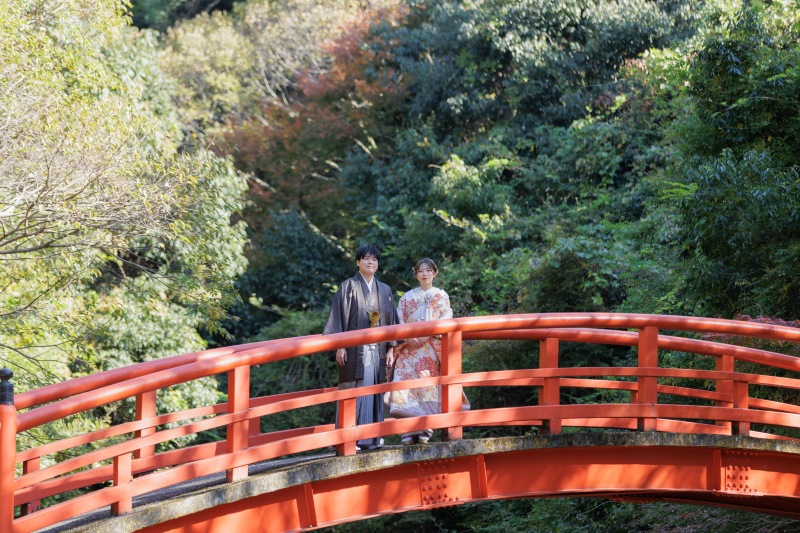 【太山寺ロケーション】趣のある景観の国宝建造物_◇200カット以上全データ付き