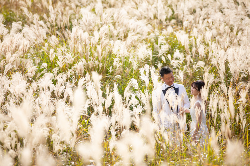 【砥峰高原ロケーションプラン】ススキの草原が広がる高原ロケーション◇300カット以上全データ付き