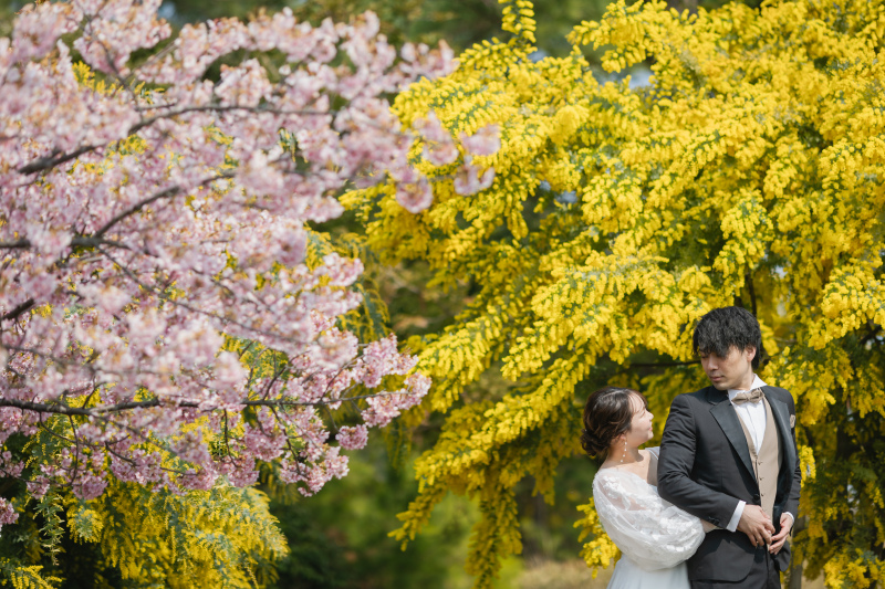 残りわずか！淡路島_河津桜ロケーション_2月末〜3月中旬_200カット