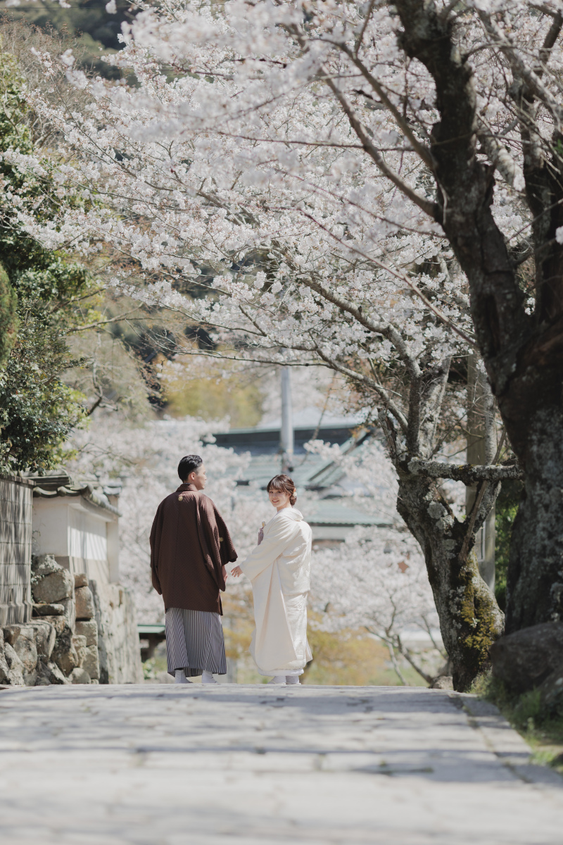 1月迄申し込み限定!春ロケシーズンアップ料金OFF【太山寺ロケーション】趣のある景観の国宝建造物◇200カット以上全データ付き