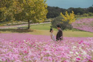 秋のご予約も受付中!早割特典 シーズン料金OFF 【淡路島花さじきロケ】広大な景色のロケーション◇200カット以上全データ付き