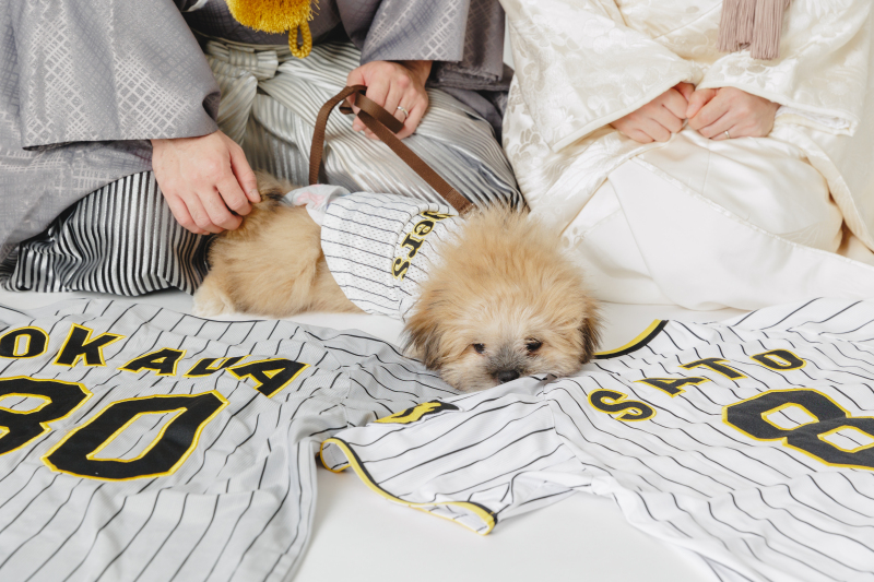 【和装のスタジオでわんちゃん撮影】撮影&150カット以上全データ&台紙付写真