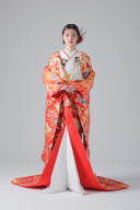 鳳凰　花菱　菱文様　桜/IU04524