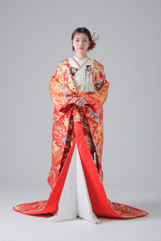 鳳凰　花菱　菱文様　桜/IU04524