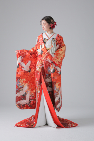 舞鶴　桜　紅葉　牡丹　青海波/IU03016