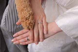 和装ハウススタジオでわんちゃんと一緒に♪