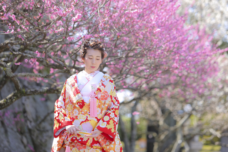 2月末〜3月上旬までの限定。