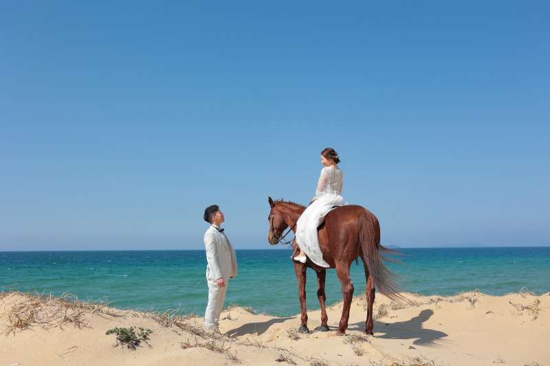 海岸で　乗馬プラン！