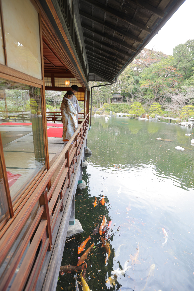 池の鯉を眺めて