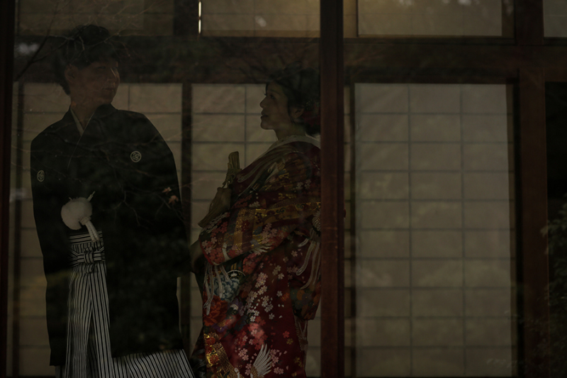 こっそり覗き見